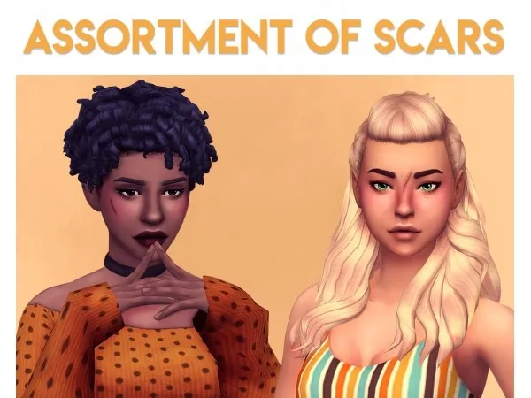 An Assortment of Scars by onceabluemoonsim