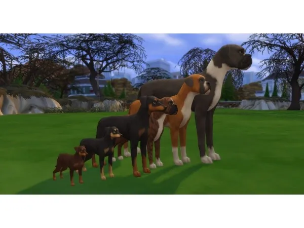 Maxis Match Dog SizeHeight Slider by simsfinds - The Sims 4 Custom Content