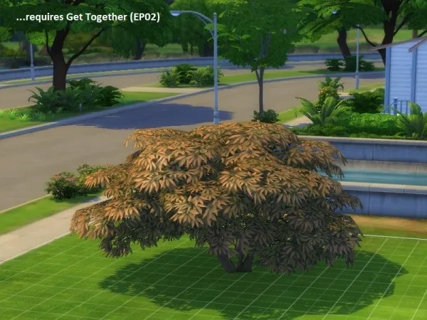 Maxis Match 4 unlocked plants (2 trees and 2 shrubs) by simsfinds - The Sims 4 Custom Content