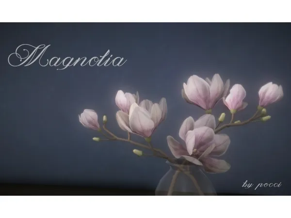 Magnolia