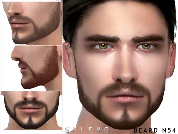 Alpha Seleng's Beard N54 - The Sims 4 Custom Content