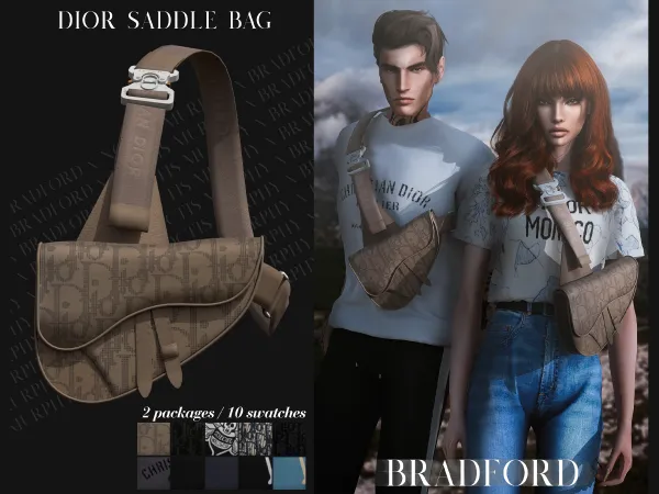 Alpha Dior Saddle Bag by bradford - The Sims 4 Custom Content