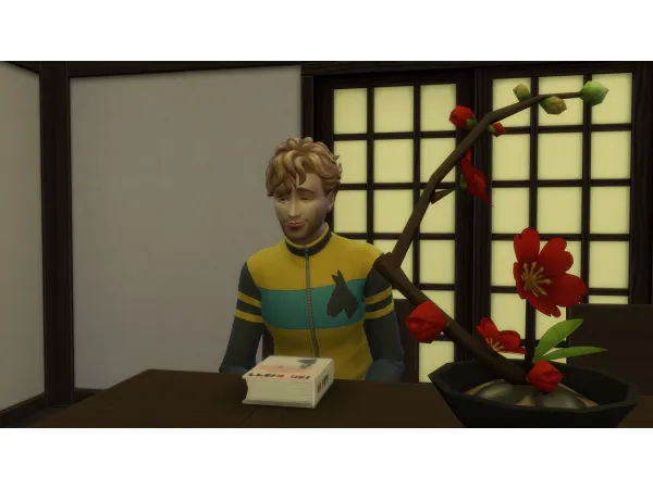 Maxis Match Simulation is Not Free by simsfinds - The Sims 4 Custom Content