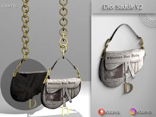 Dior Saddle Newspaper Purse
