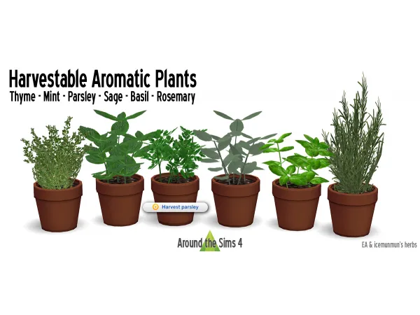 Maxis Match Aromatic Plants by simsfinds - The Sims 4 Custom Content