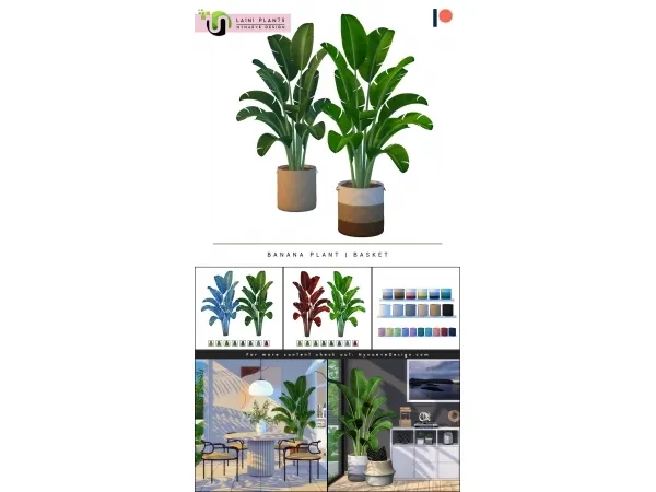 Mix Laini Banana Plant - The Sims 4 Custom Content
