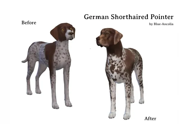 Maxis Match German Shorthaird Pointer (Blue Ancolia) by simsfinds - The Sims 4 Custom Content