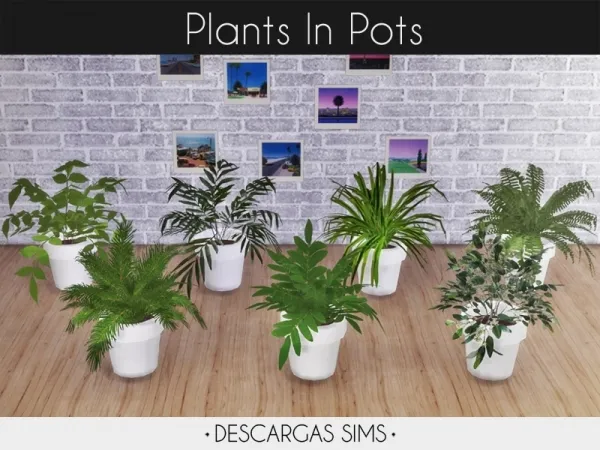 Maxis Match Plants In Pots - The Sims 4 Custom Content