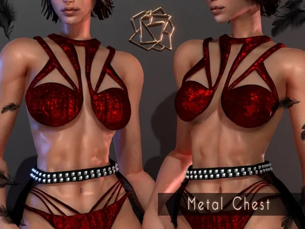 Alpha Metal Chest 2 versions BRsims by bluerose-sims - The Sims 4 Custom Content