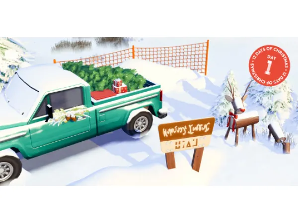 Christmas Tree Pickup | Room Build