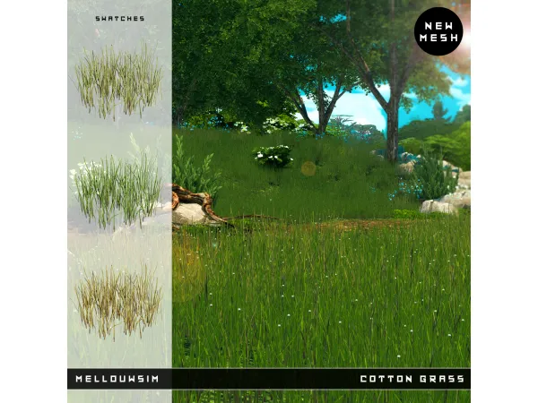 Cotton Grass by MELLOUWSIM