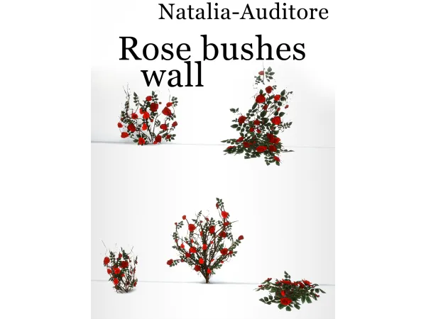 Roses on wall by Natalia-Auditore