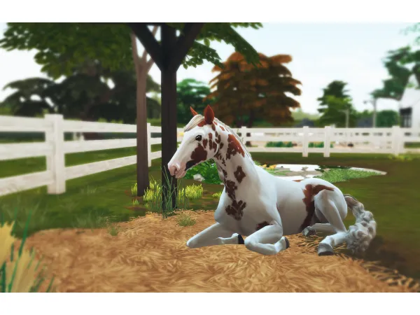 Maxis Match Natural Horse Beds No Border by SassandFreckles - The Sims 4 Custom Content