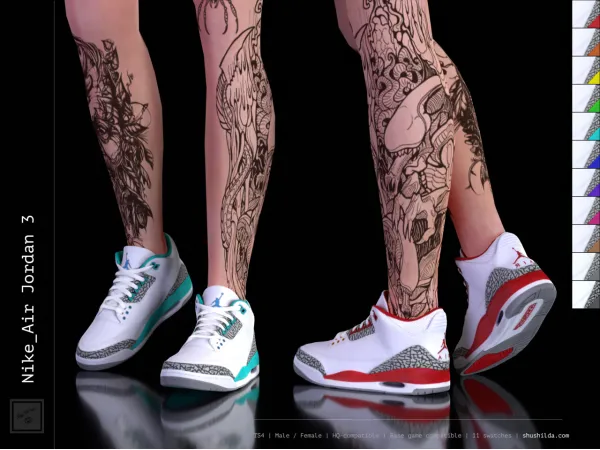 TS4 Nike Air Jordan 3