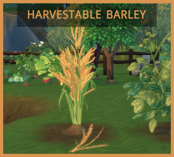 Maxis Match Harestable Barley by simsfinds - The Sims 4 Custom Content