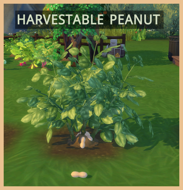 Maxis Match Harvestable Peanut by simsfinds - The Sims 4 Custom Content