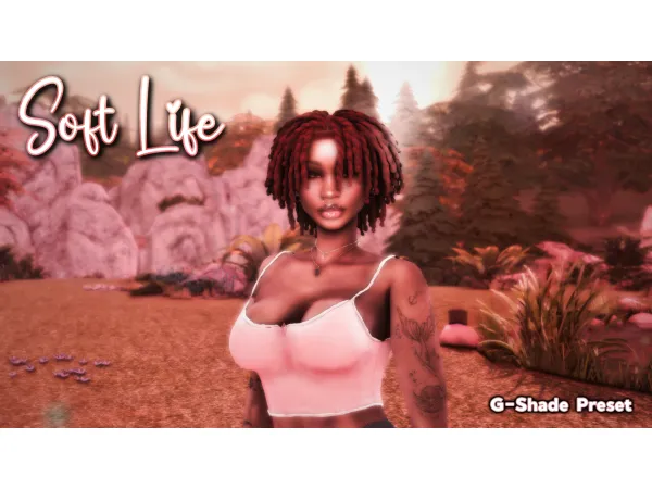 Mix Soft Life My Personal G Shade Preset by simsfinds - The Sims 4 Custom Content