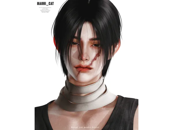 [Maoni_cat]Tattoo-Facial scars