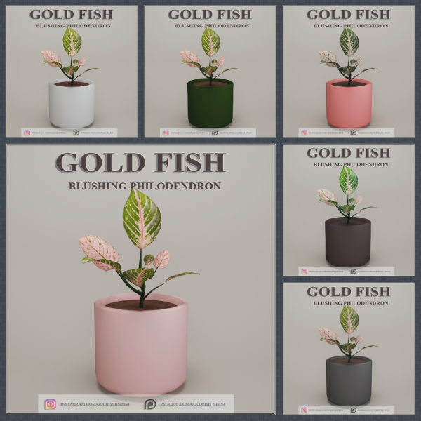 Mix GoldFish plant Blushing Philodendron by simsfinds - The Sims 4 Custom Content
