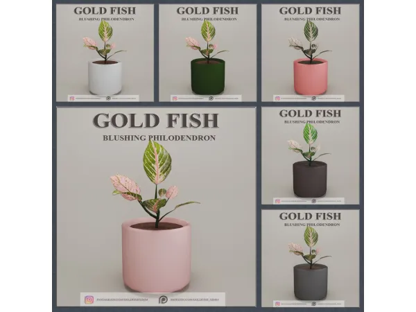 Mix GoldFish plant Blushing Philodendron - The Sims 4 Custom Content