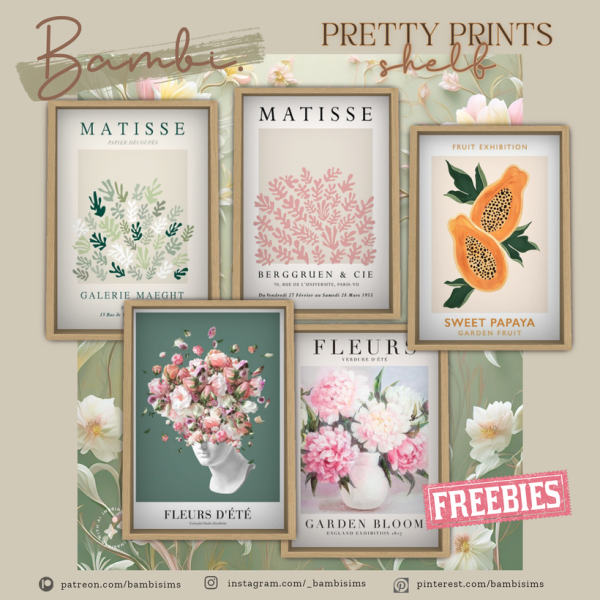 Alpha pretty prints shelf by bambisims - The Sims 4 Custom Content