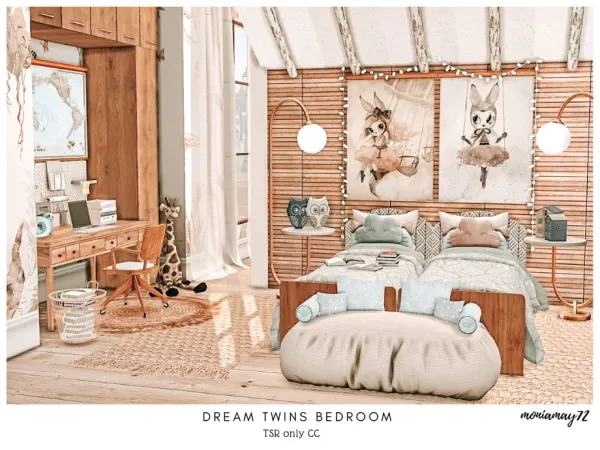 Dream Twins Bedroom