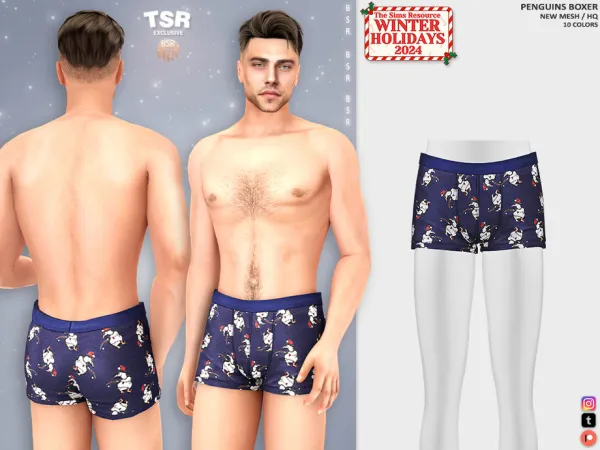PENGUINS BOXER BD1405 by busra-tr