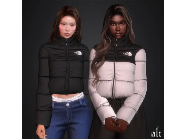 Alpha THE NORTH FACE jacket by ali_s4cc - The Sims 4 Custom Content