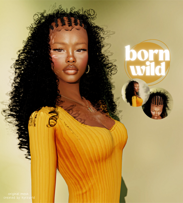Alpha born wild hair by simsfinds - The Sims 4 Custom Content
