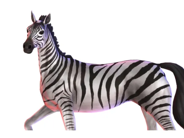 Zebra NO CC by SimmieRena