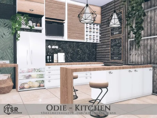 Alpha Odie Kitchen - The Sims 4 Custom Content