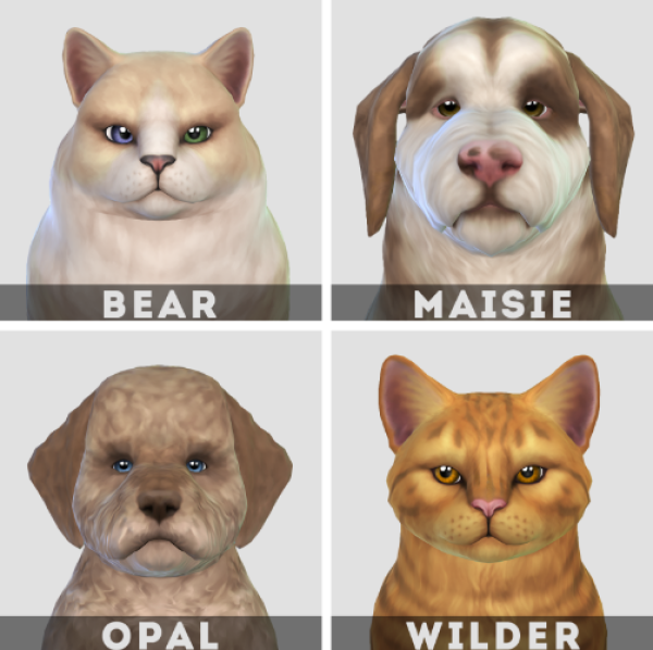 Maxis Match Pet Dump by simsfinds - The Sims 4 Custom Content