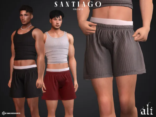 SANTIAGO shorts by SANTIAGO shorts
