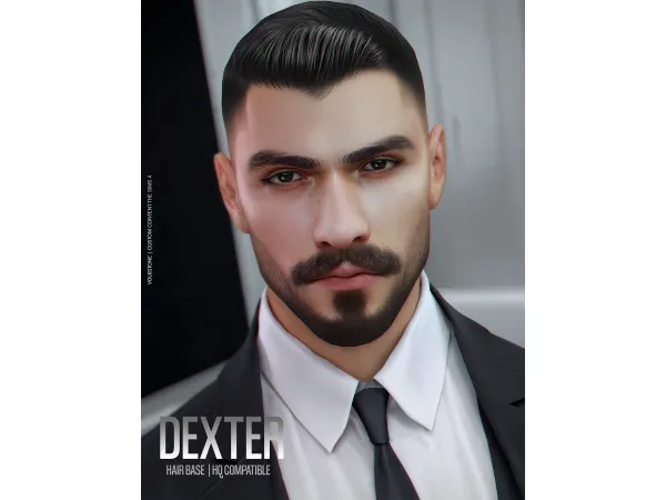 Alpha VOLKS HAIR BASE N02 [Brown] - The Sims 4 Custom Content