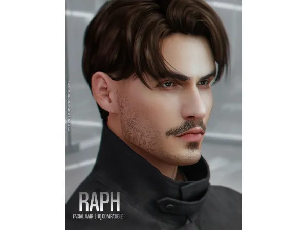 VOLKS. FACIAL HAIR N04 | TS4 V5