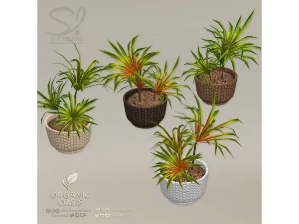 Alpha Organic Oasis Hotel Suite Extras Potted Dragon Tree - The Sims 4 Custom Content