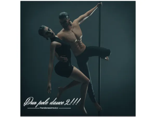 Duo pole dance 2
