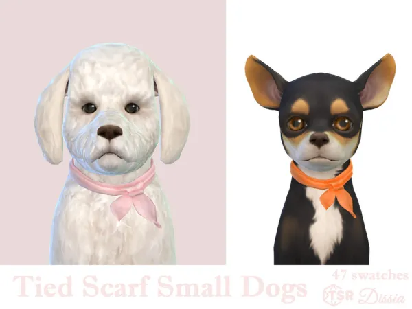 Tied Scarf Small Dogs by Dissia