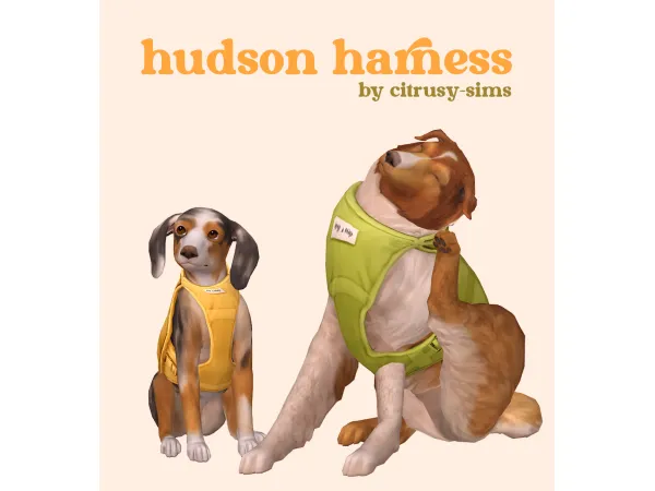 hudson harness by citrusy-sims